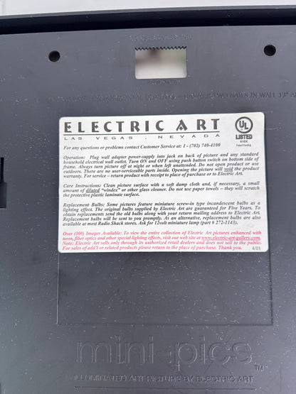 #23  Electric Art “Thunder in the Canyon” Illuminated Picture – Mini-Pics Lighted Wall Art