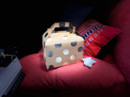 Women of U.S. Coinage Gift Set — Complete American Women Quarters (5) + Sacagawea & Susan B. Anthony Dollars /Morgan Silver Dollar